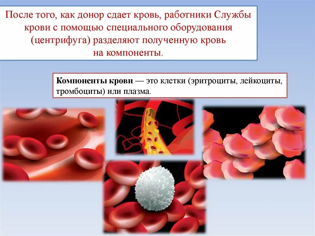 Почему рвота с кровью. После сдачи крови эритроциты. Донорство эритроцитов.