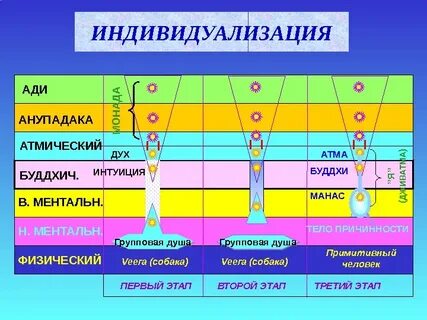 Буддхи