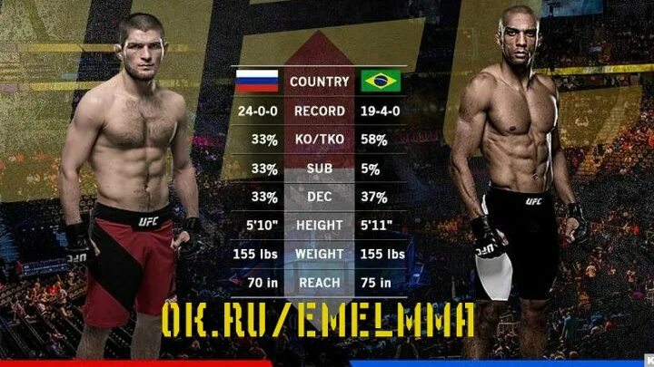 Нурмагомедов сколько поражений. Статистика Хабиба в UFC.