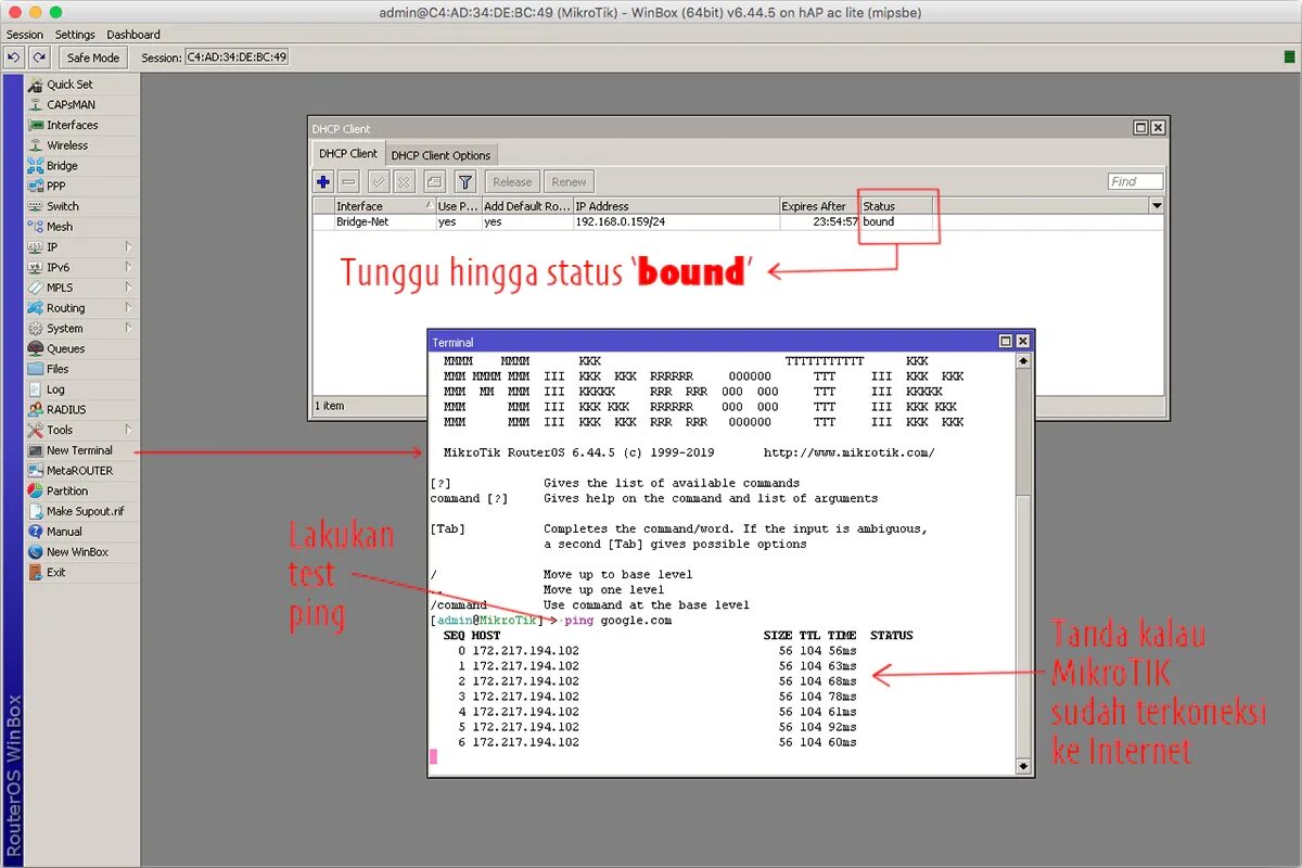 Mikrotik ping