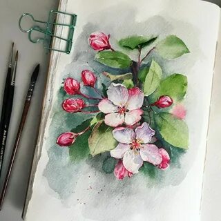 Цветы акварельными карандашами