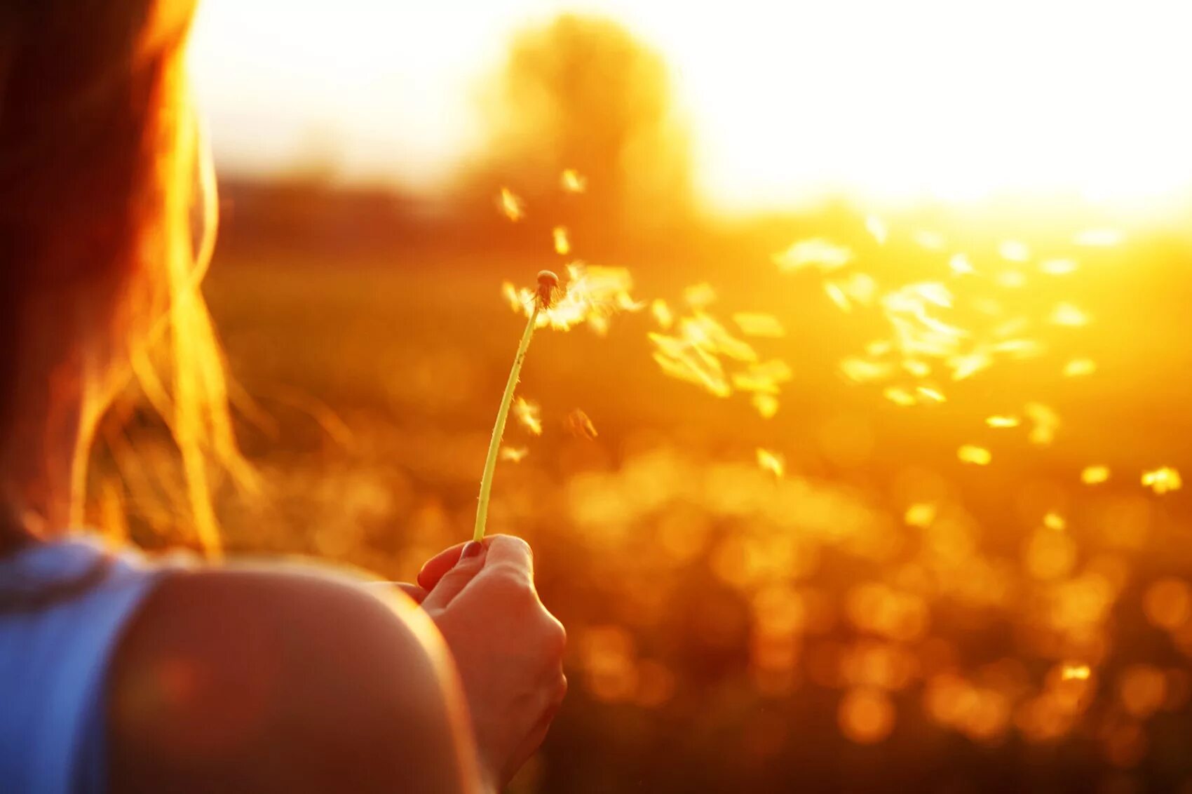 Счастье солнце. Средь серой массы негатива не будь как все сияй красиво картинки. Не будь как все сияй. Радостные и позитивные мысли. Реферат образы солнца огня в литературе живописи и музыке.