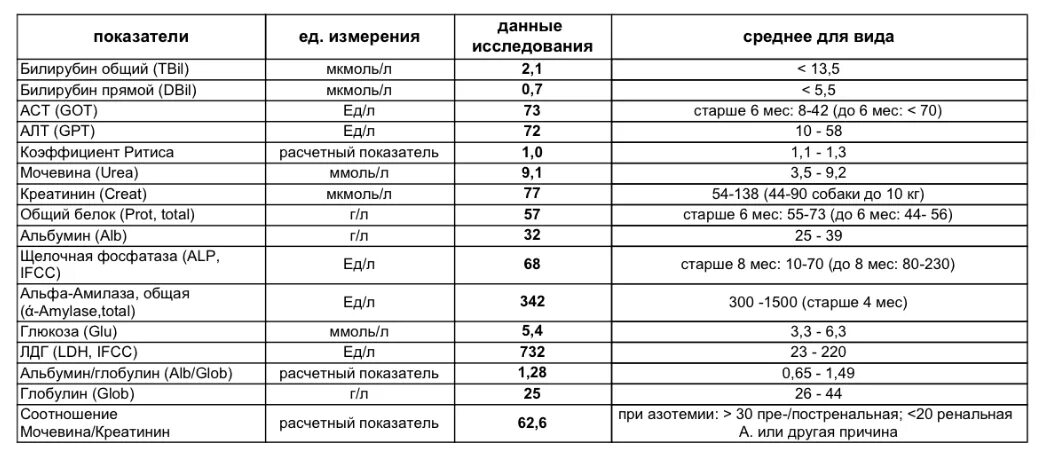 Биохимия аст норма. Биохимический анализ крови норма непрямой билирубин. показатель общего билирубина в крови норма. анализ крови билирубин норма. билирубин общий у взрослого норма.