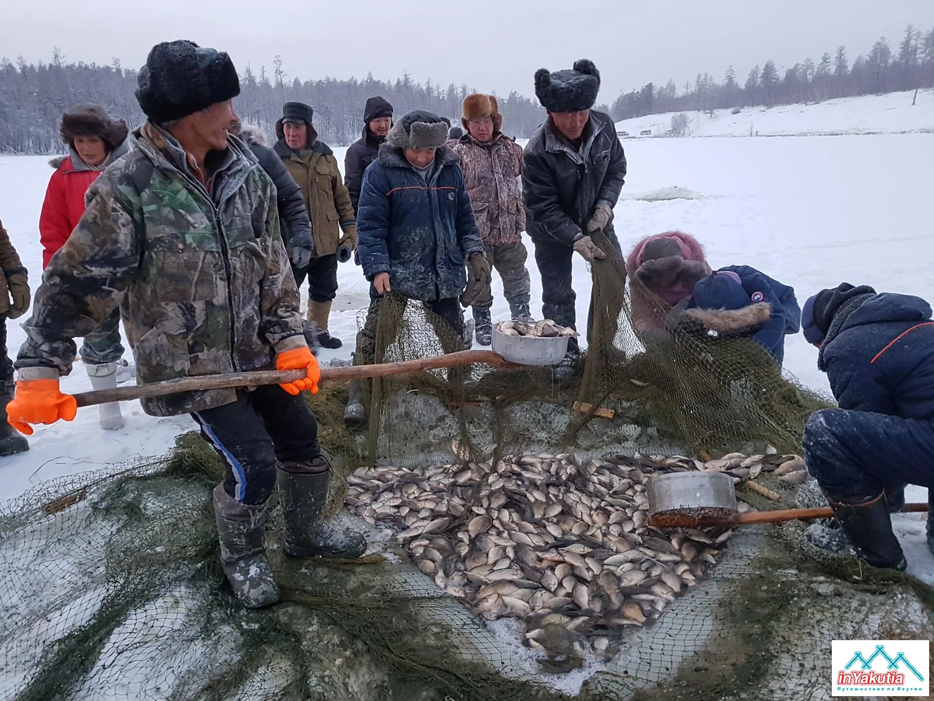 Якутская мунха. Рыбалка в Якутии мунха. Якутская рыбалка мунха. Мунха в Кобяйском улусе.