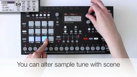 Bell sample