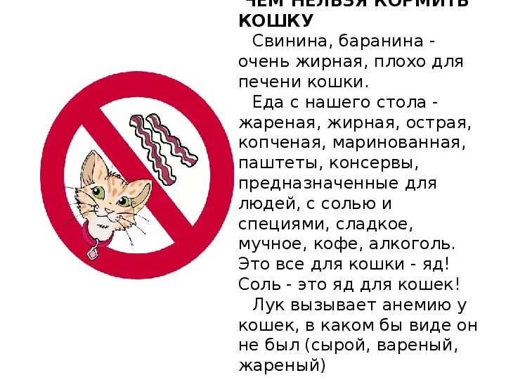 Можно коту сырую печень