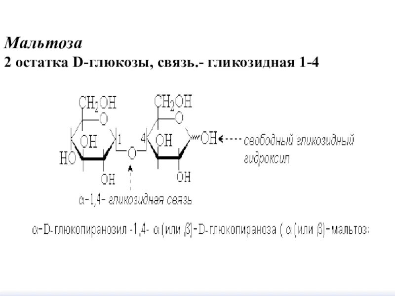 18 2 ост 2. 1-4 Гликозидная связь Глюкоза. Мальтоза из Альфа Глюкозы. Альфа 1 4 гликозидная связь Глюкозы. Мальтоза Глюкоза 1 фосфат плюс Глюкоза.