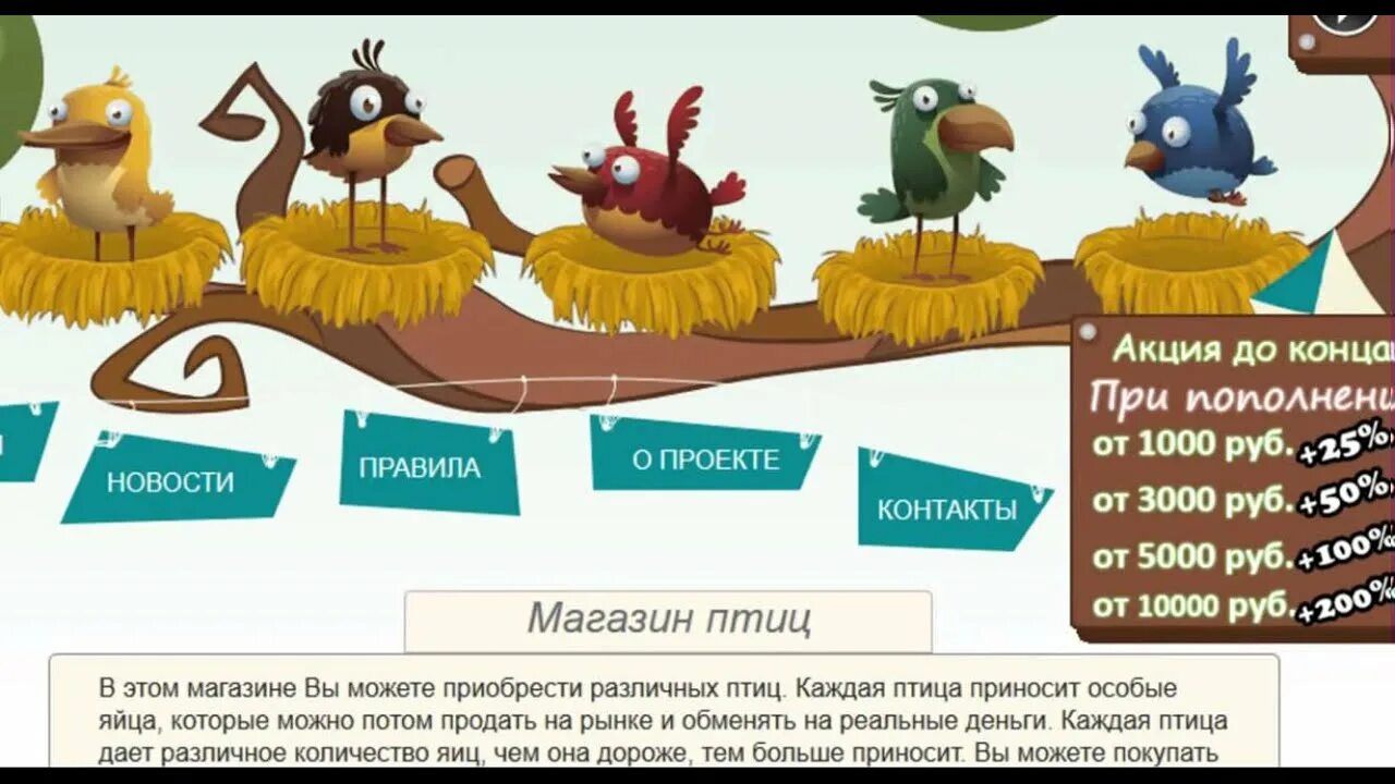 Bird как вывести
