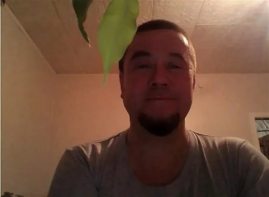 жека и гусь