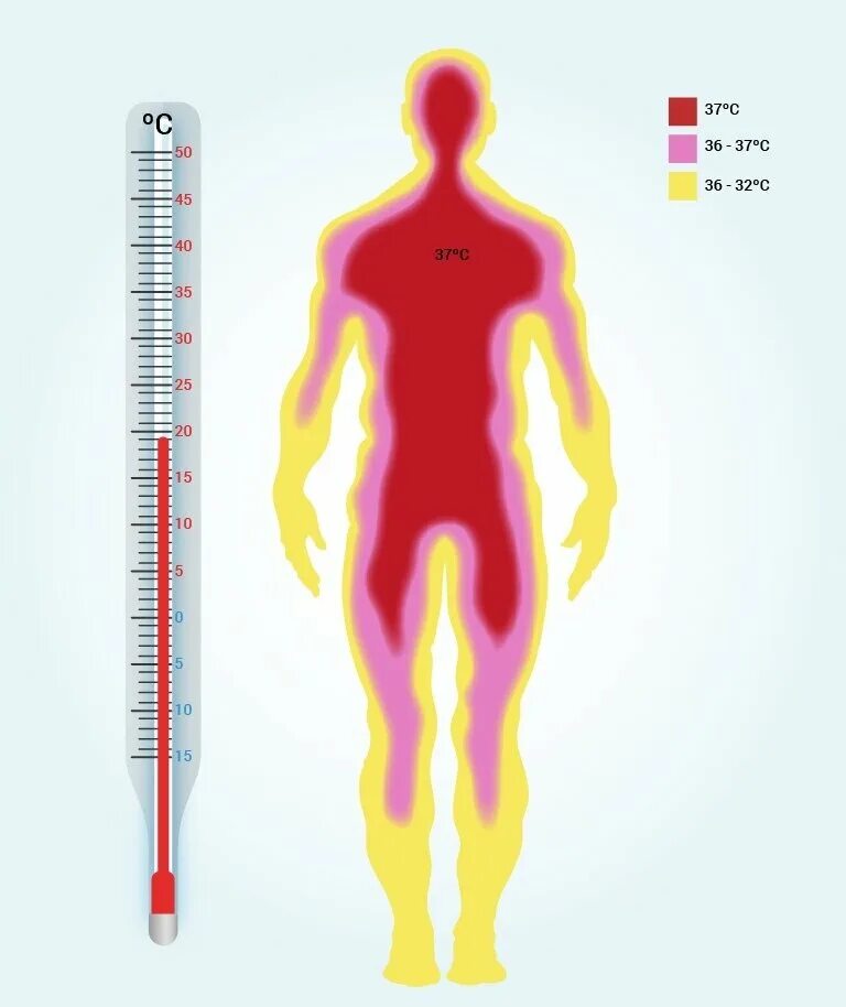 Сильные колебания температуры. Температура тела. Повышение температуры тела. Температура человека повышенная. Температура тела человке.