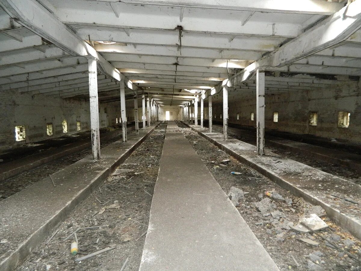 Городищенская птицефабрика. Птицефабрика 62 армии волгоград. Волгоград поселок городище. Птицеводческий комплекс. Птицефабрика городище.