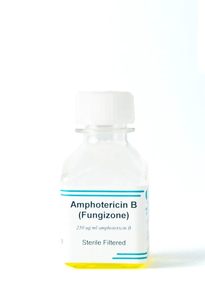Амфотерицин в (amphotericinum-b). Амфотерицин мазь глазная. Амфотерицин флакон. Амфотерицин б. Амфотерицин в1 50мг.