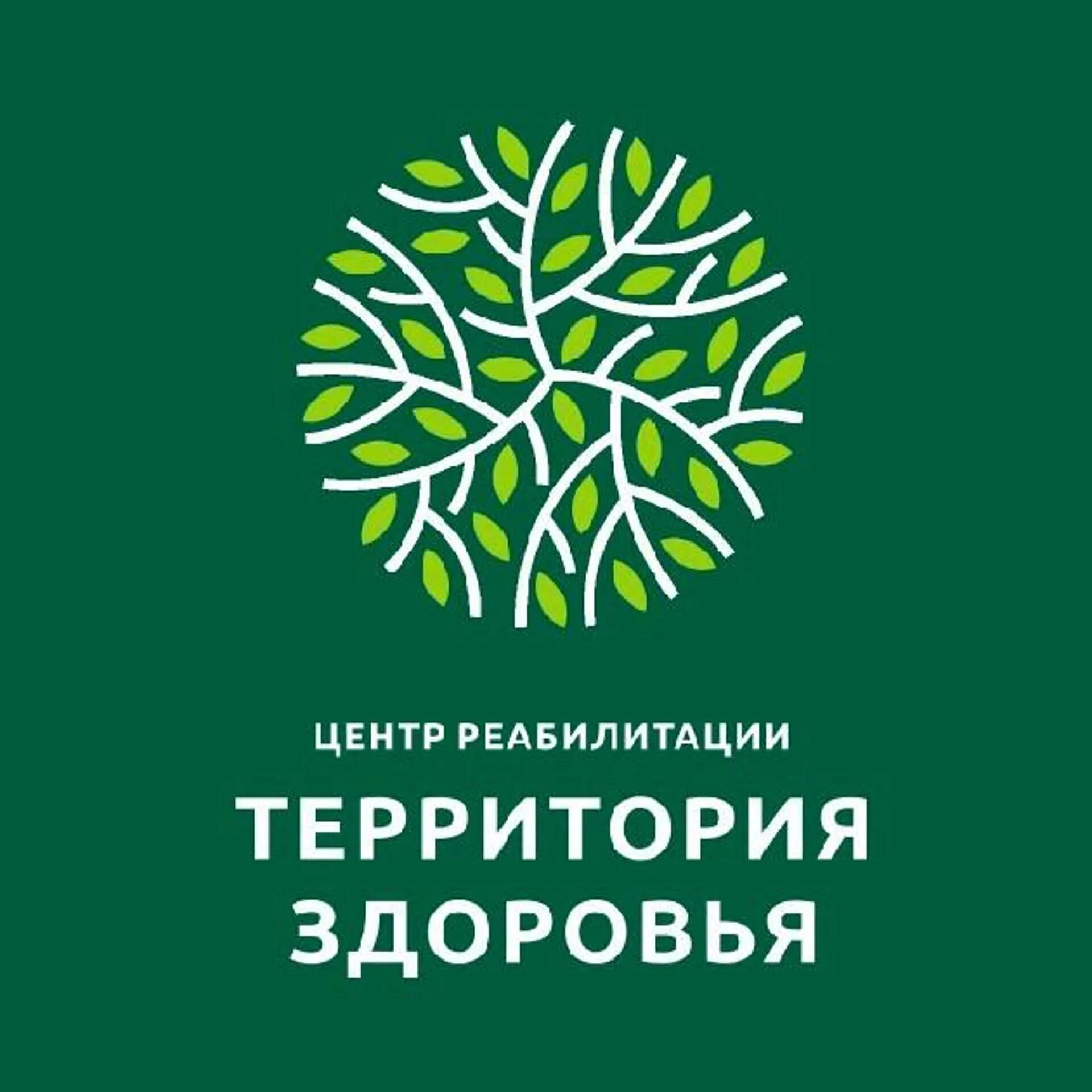 Территория здоровья детского сада. Детский сад территория здоровья презентация. Территория здоровья эмблема. Территория здоровья эмблема. Проект по физкультуре детский сад территория здоровья.