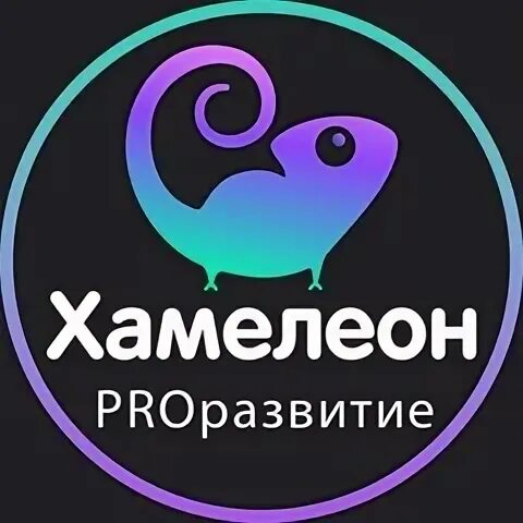 Хамелеон 2024 год