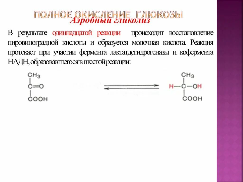 Реакция с участием фермента. Реакция восстановления пировиноградной кислоты. Реакция восстановления пировиноградной кислоты в молочную кислоту. Окисление пировиноградной кислоты происходит в. Пировиноградная кислота образуется.