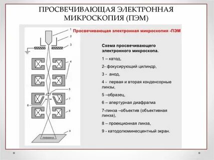 Устройство электронного микроскопа