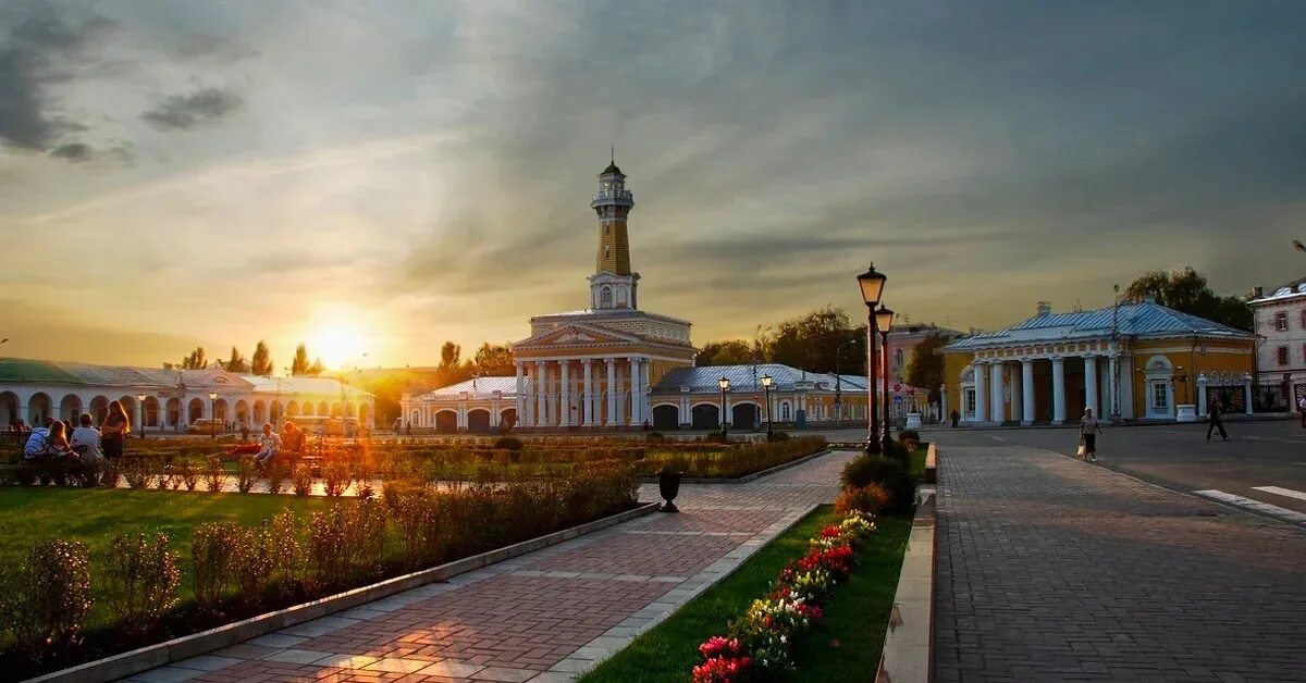 Кострома совхозная. Кострома совхозная