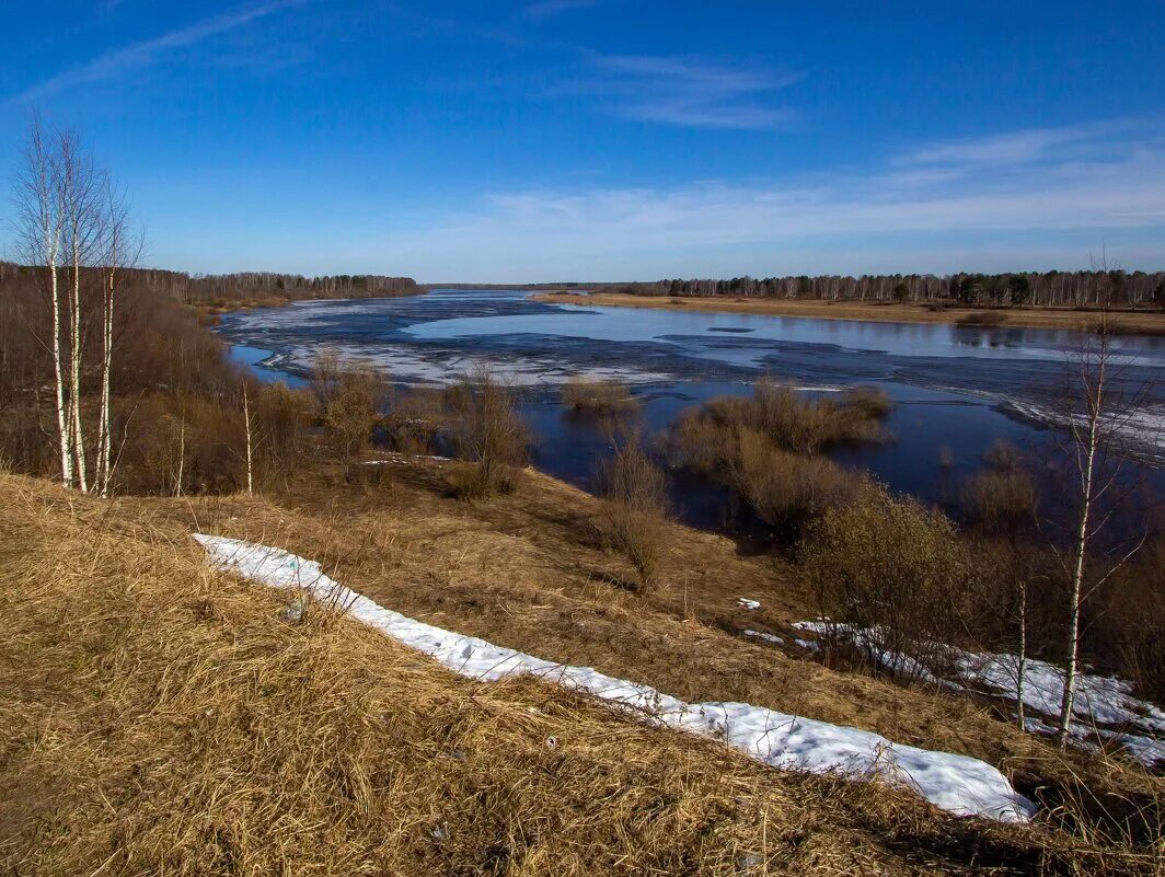 Река в сыктывкаре