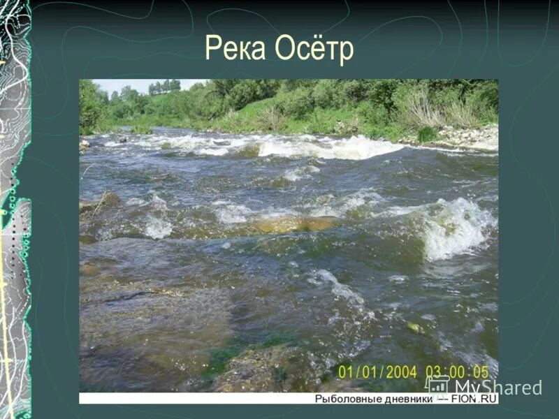 Река осетр на карте Автор:Коршунова Алена 8а. Школа № 11. Город Жуковский. 2013год. скачать презен