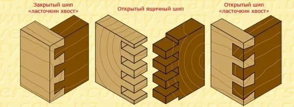 Выступ шипа