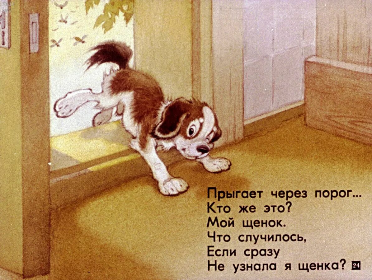 Стихотворение мой щенок. Стих про щенка. михалков щенок. михалков стихи щенок.