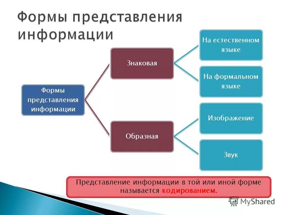 Формы представления информации. Формы представления информации в информатике. Конспекты уроков представление информации