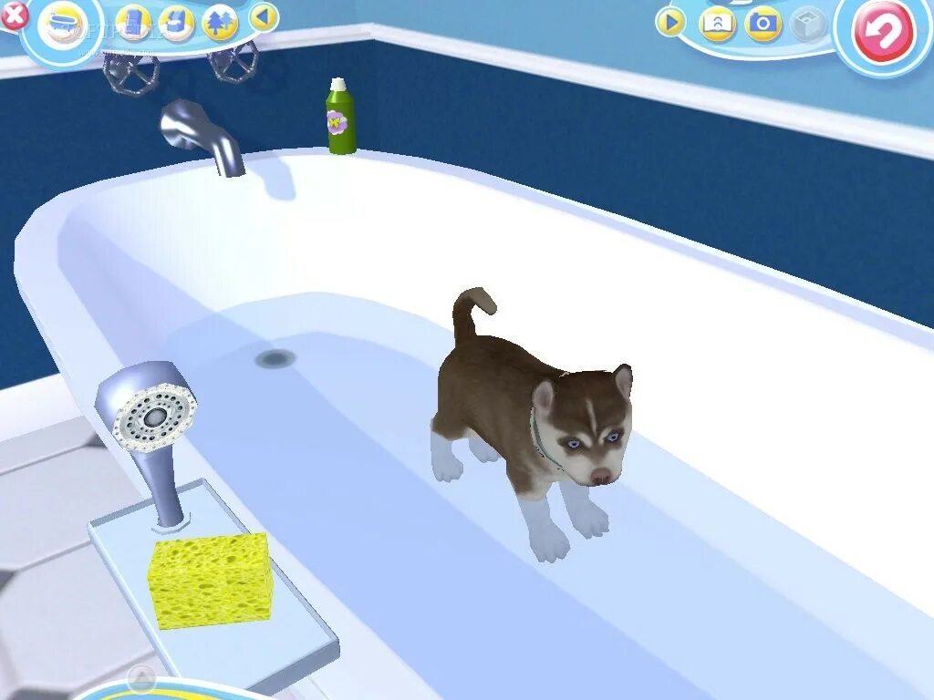 Включи кота такая игра. Petz Dogz. Catz 5 и Dogz 5. Игра Petz Dogz. Petz Dogz 5.