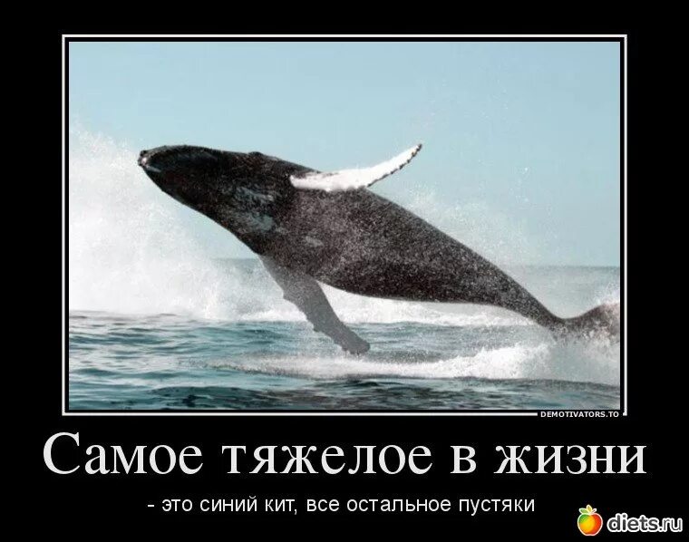 Самое тяжелое в жизни это