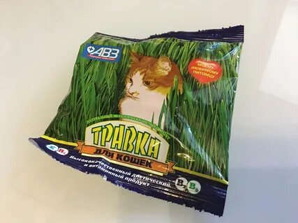 Семечки кошкам
