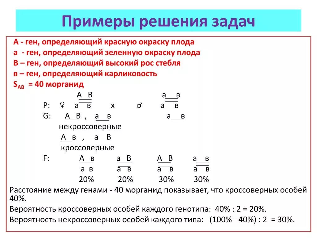 Сколько типов гамет образует потомок от анализирующего. Решение задач на сцепленное наследование. Задачи биологии сцепление наследования. Задачи на сцепленное наследование. Задачи по генетике на наследование признака.