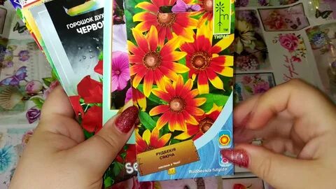 Цветы сразу в грунт без рассады