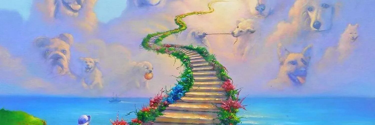 ушел на радугу. мост радуги. мост радуги рай для животных. собака на радуге. собаки уходят за радугу.