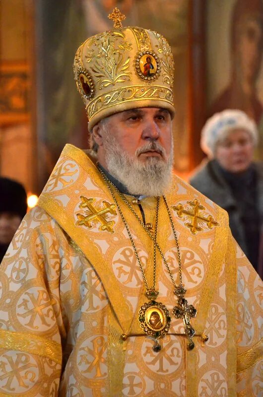 Митрополит петр полянский. Епископ аркадий федоров. Епископ ефрем. Священномученик андроник пермский икона. Епископ пермский.