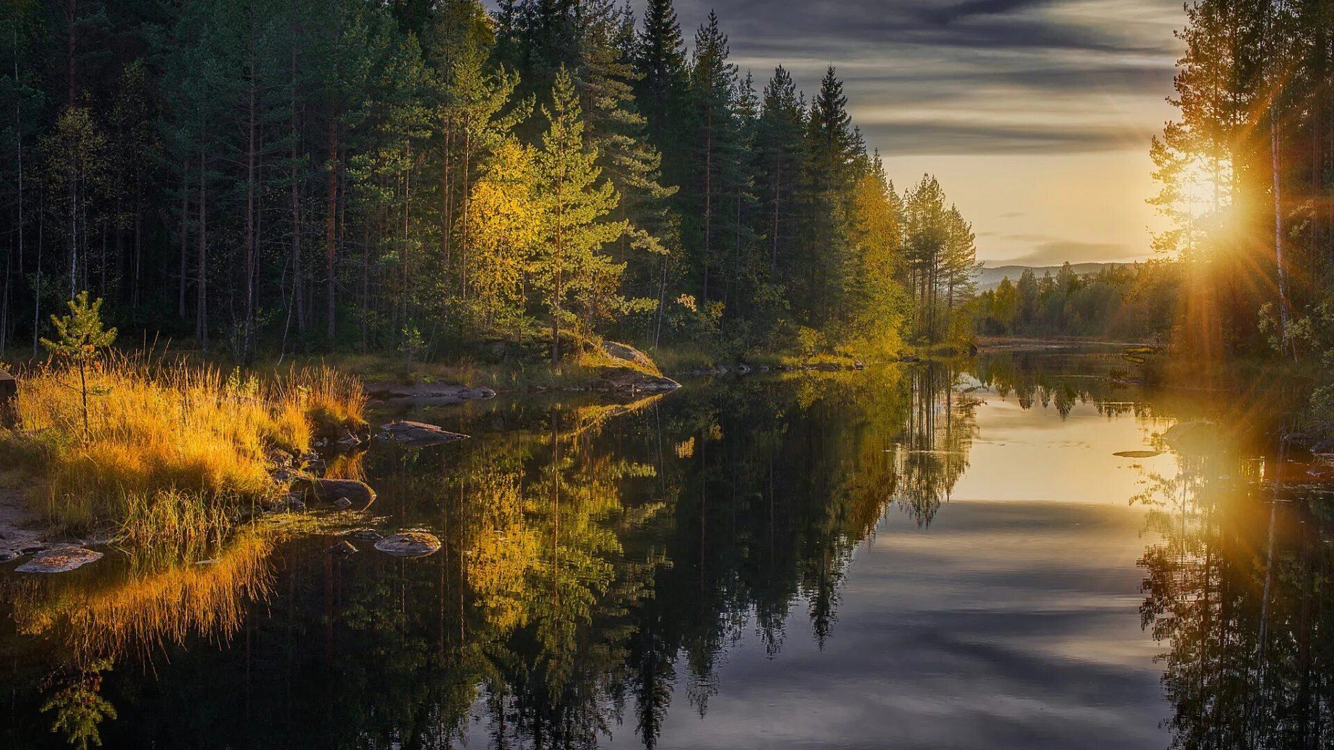 В тайге есть лето