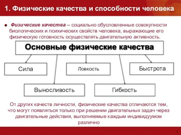 Дать определение физическим качествам