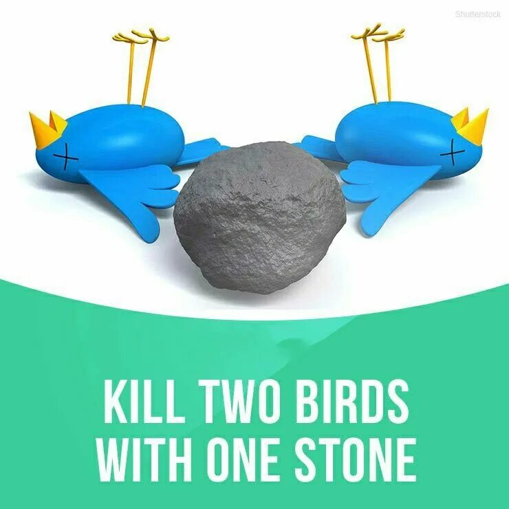 Kill birds. Kill two Birds with one Stone идиома. To Kill two Birds with one Stone. Kill two Birds with one Stone idiom. To Kill two Birds with one Stone перевод идиомы.