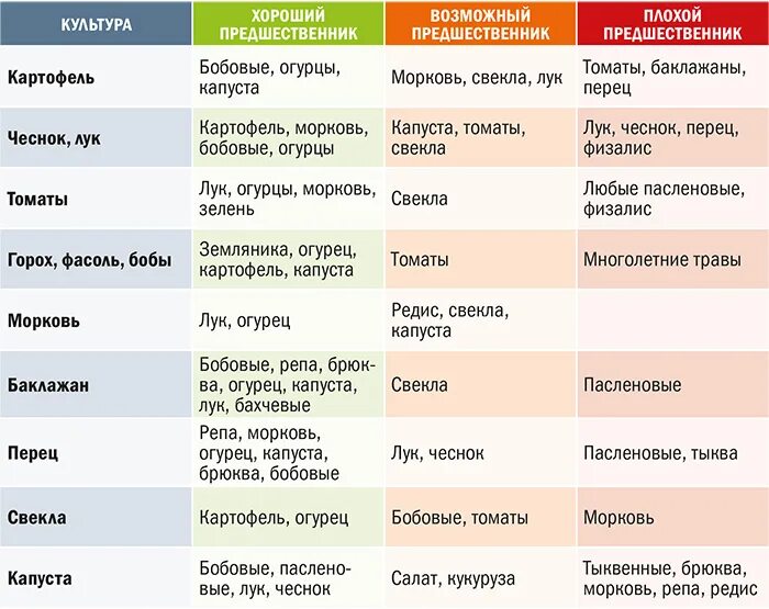 После чего можно сажать весной. Посадка овощей предшественники таблица. После чего сажать морковь на следующий год. После чего сажать чеснок.