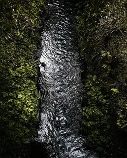 Holy Nature (4) Images :: Behance