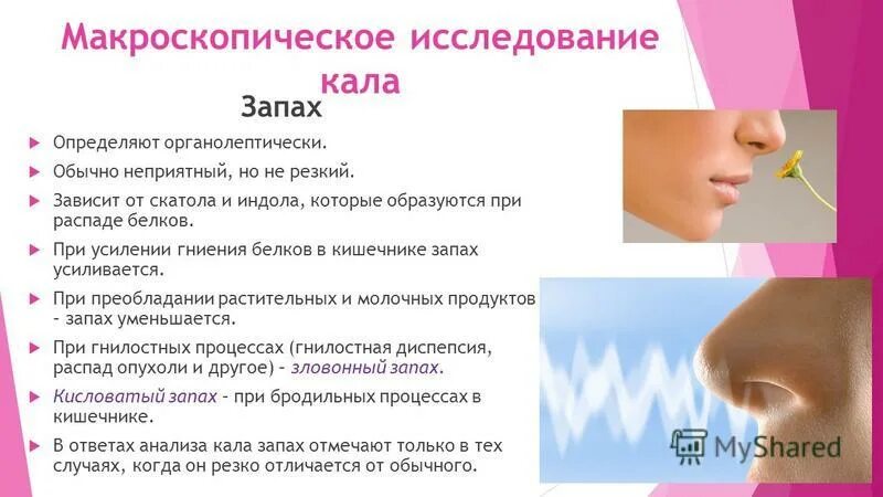 человек который определяет запахи