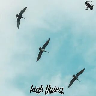 High flying bird