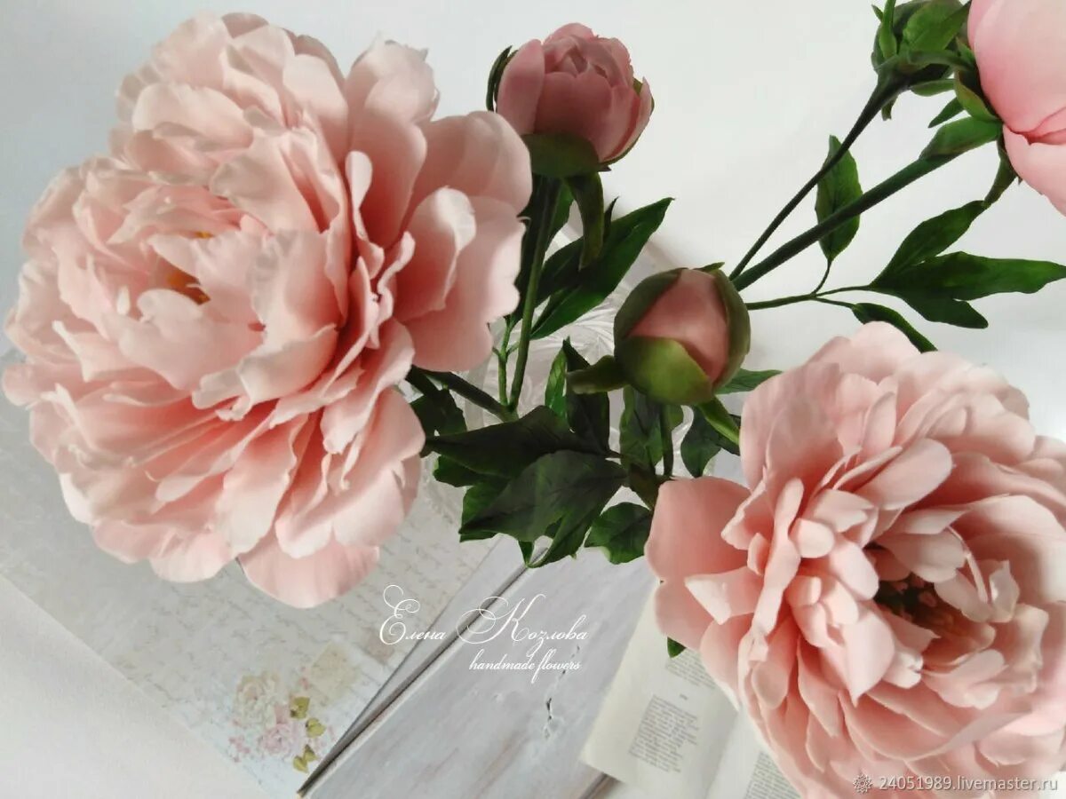 Пионы из полимерной глины. Пионы холодный фарфор. Пионы из холодного фарфора. Кораллового пиона из холодного фарфора. Пион розовое облако.