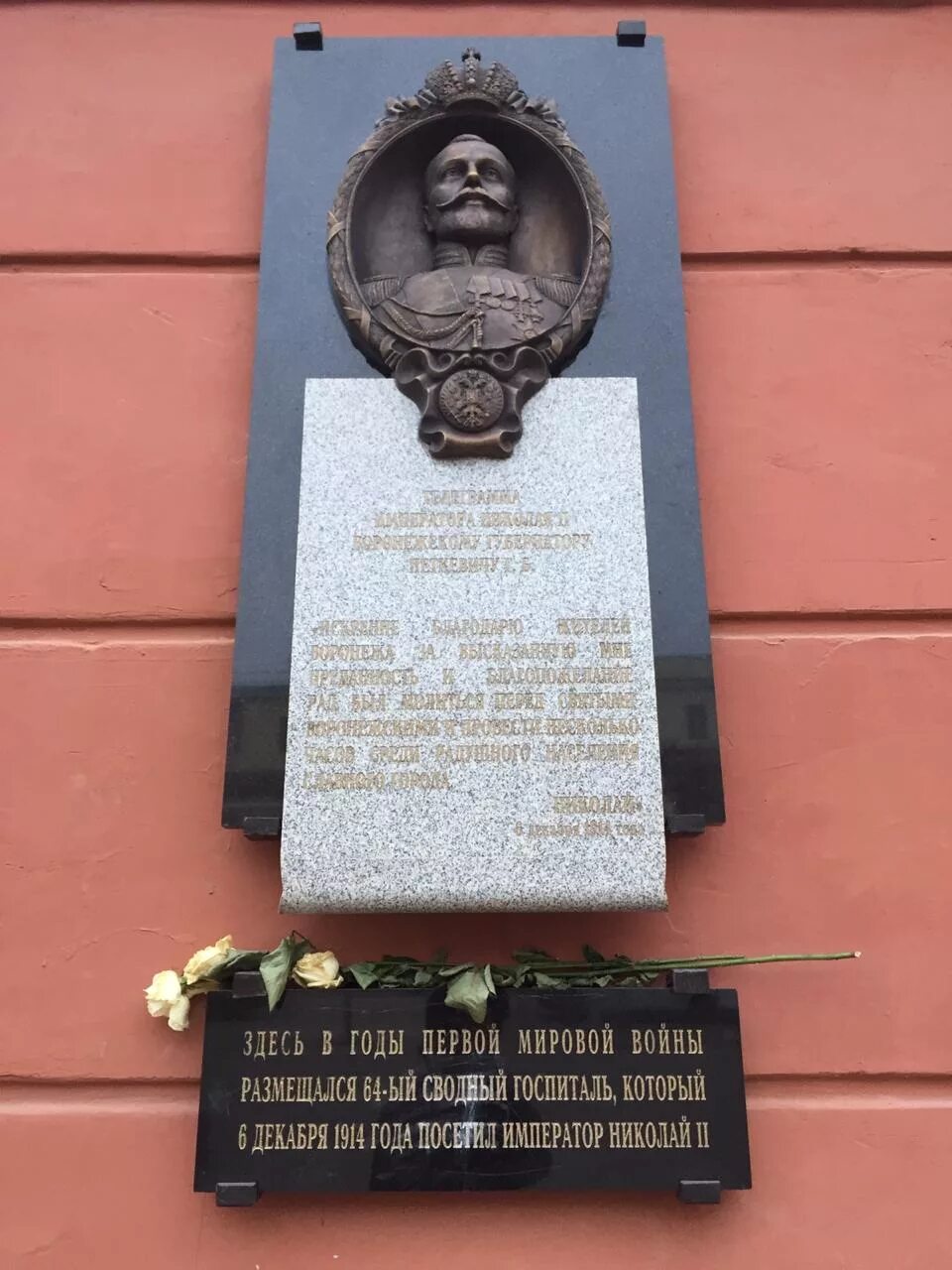 Памятная доска ростроповича воронеж. Мемориальная доска платонову андрею. Мемориальные доски воронежа. Мемориальные доски воронежа. Юлюс янонис мемориальная доска воронеж.