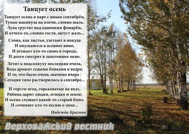 Стих осенняя воля. Стих о природе брагина л.. л п брагина чистый звук стихи.