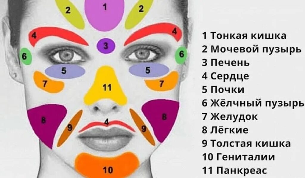 Карта лица высыпания на лице. Огулов проекция органов на лице. Проекция внутренних органов на лице. Огулов представительные зоны лица. Акупунктурные зоны лица.