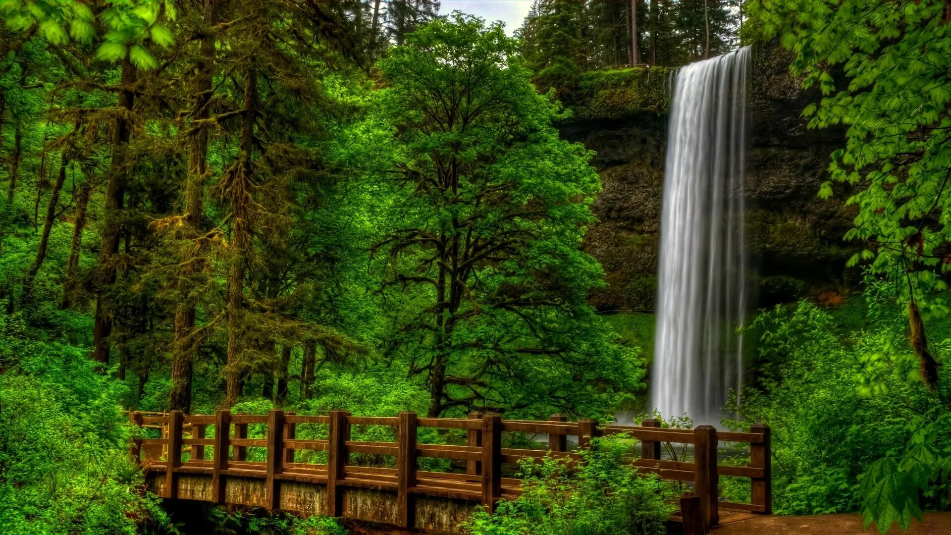 Природа. Водопад в лесу. Лесной водопад. Природа с деревьями и водопадами. Natural view