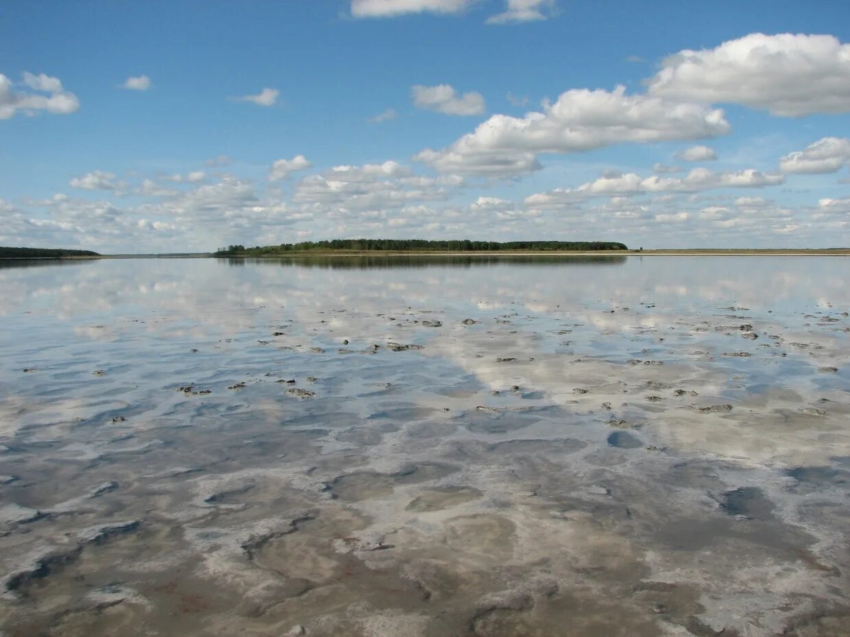 Озеро Медвежье Курганская. Курганская обл Медвежье озеро. Курганские соленые озера. Солёное озеро в Курганской области. Курганская область озеро медвежье соленое