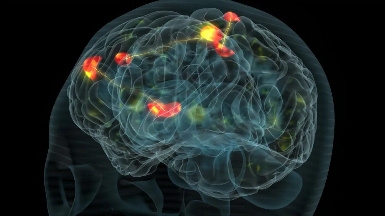 Нейронные связи в мозге. Визуализация мозга. Энграмма мозга. Brain effect