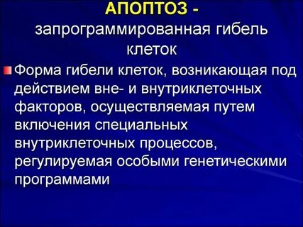 Запрограммированная гибель клетки