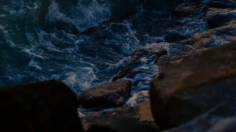 Waves 14