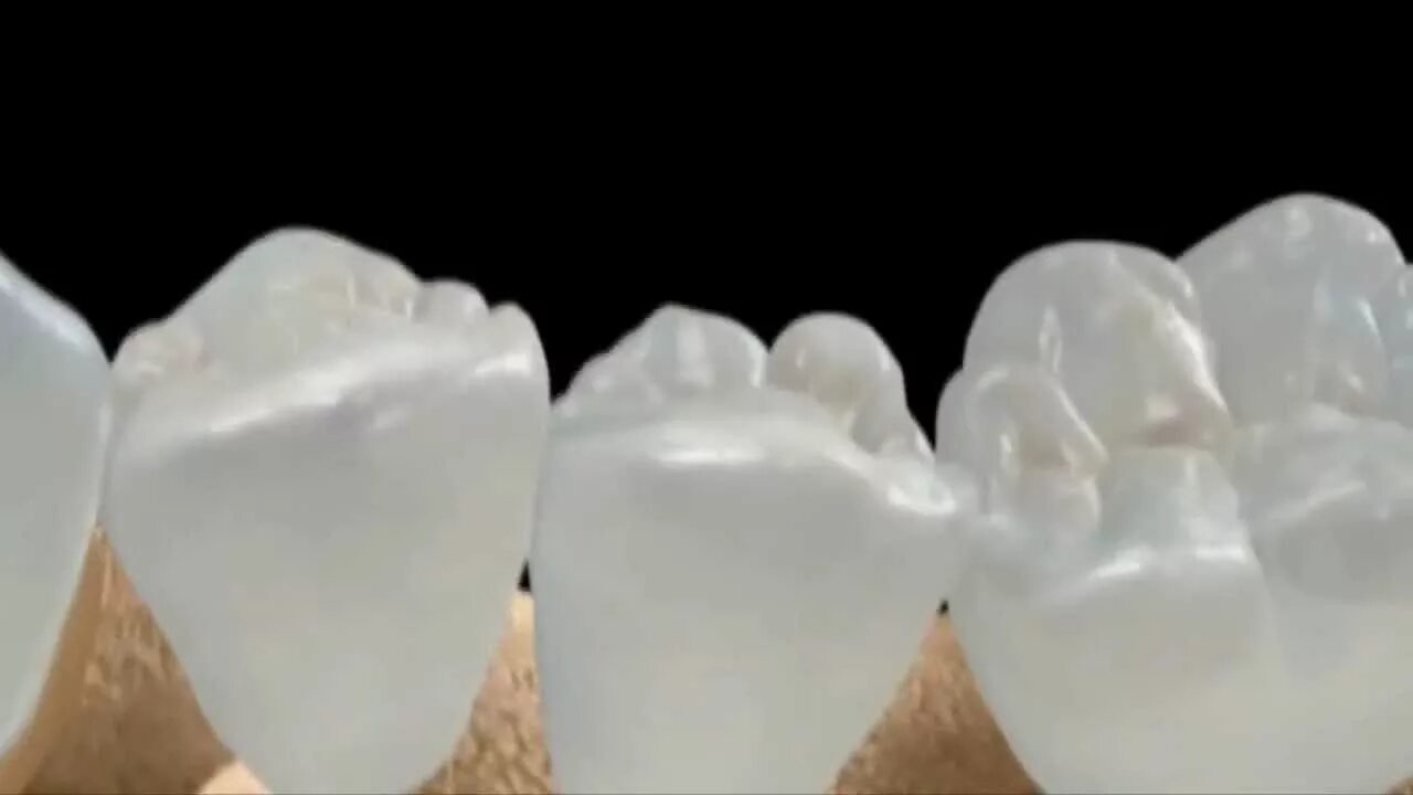 Вырастите новые зубы
